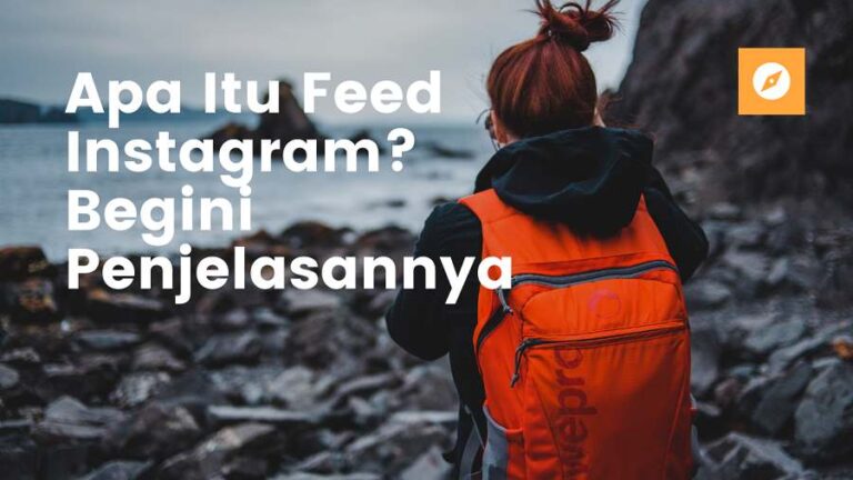 Apa Itu Feed Instagram? Begini Penjelasannya