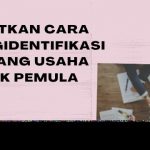 Sebutkan Cara Mengidentifikasi Peluang Usaha Untuk Pemula