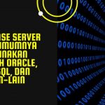 Database Server yang Umumnya Digunakan Adalah Oracle, My SQL, dan Lain-Lain