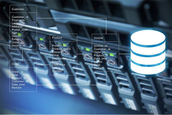Database Server yang Umumnya Digunakan Adalah Oracle, My SQL, dan Lain-Lain