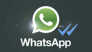 cara agar WhatsApp tidak terlihat online