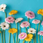 10 Rekomendasi Walpaper Bunga Terbaik, Cocok untuk Interior Dinding Hunian Anda!