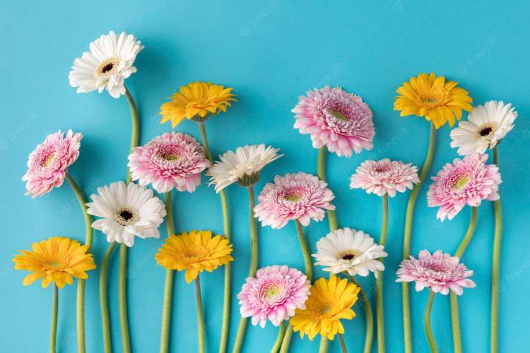 10 Rekomendasi Walpaper Bunga Terbaik, Cocok untuk Interior Dinding Hunian Anda!