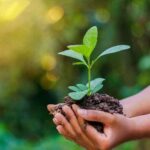 14 Contoh Poster Lingkungan Hidup Simple & Cara Membuatnya