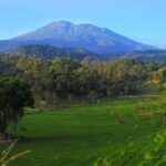 Pemandangan gunung