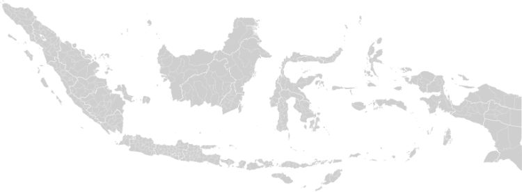 Peta Indonesia Vector PNG