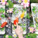 Cara Menggunakan Wallpaper Bergerak untuk HP OPPO