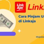 Cara Pinjam Uang di Linkaja