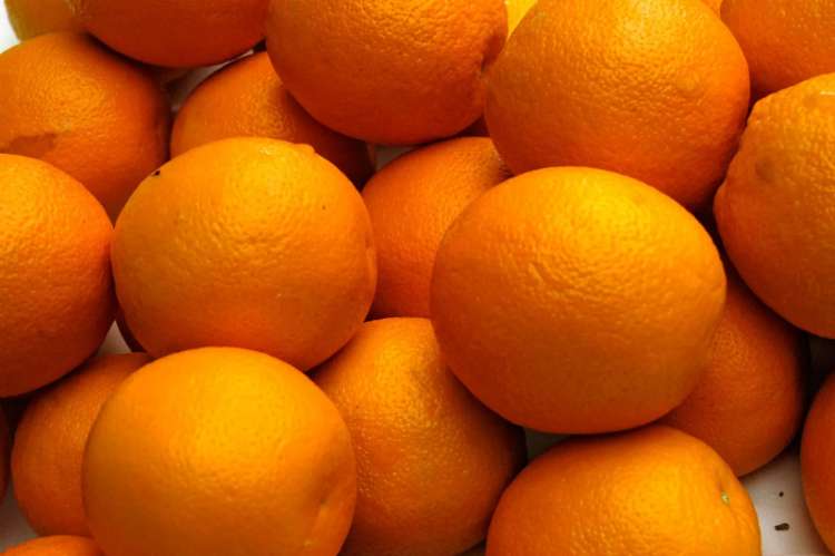 Contoh laporan percobaan Kimia #1- Melihat kandungan vitamin C dalam jeruk