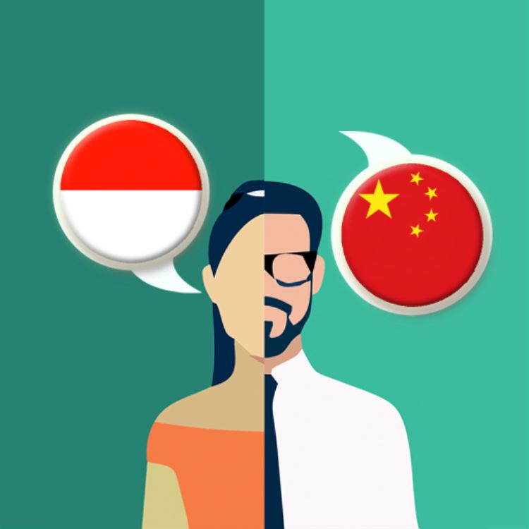 Indonesia-Cina Penterjemah