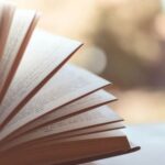 Sinopsis Novel Pengertian, Unsur Unsur, dan Panduan Penulisannya