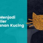Tips Menjadi Supplier Makanan Kucing