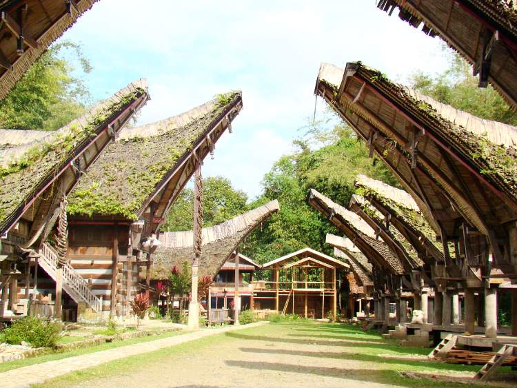 Toraja, Tongkonan