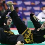 Pencak Silat Definisi, Sejarah, Teknik Dasar