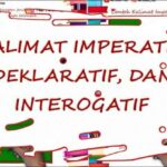 Memahami Contoh Kalimat Imperatif Deklaratif Interogatif