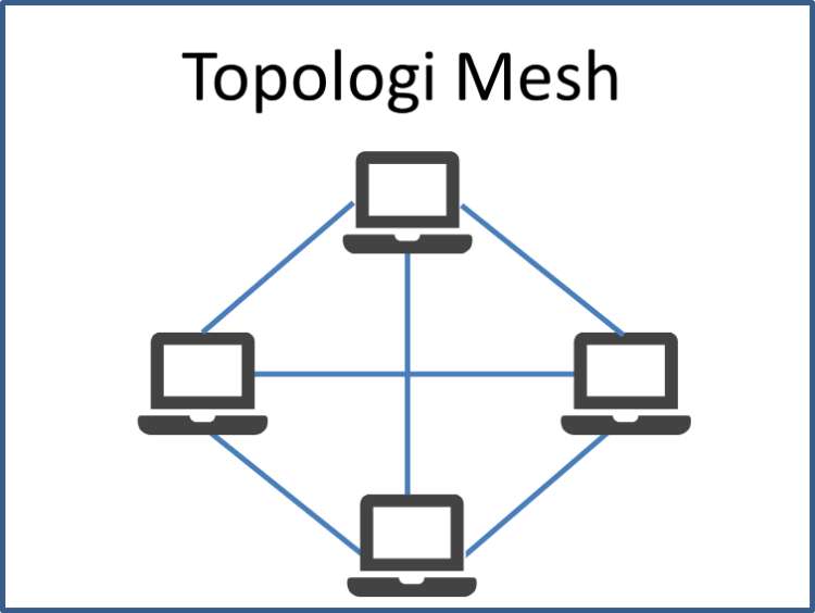 Topologi Mesh