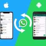 5 Cara Memindahkan Chat WA dari Android ke Iphone, Lengkap Step by Step Terbaru