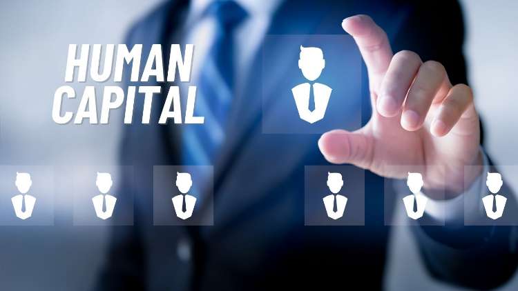 Human Capital Adalah Ini Dia Definisi, Fungsi, dan Manfaatnya