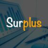 Surplus Adalah Pengertina, Jenis, Penyebab dan Dampak Surplus