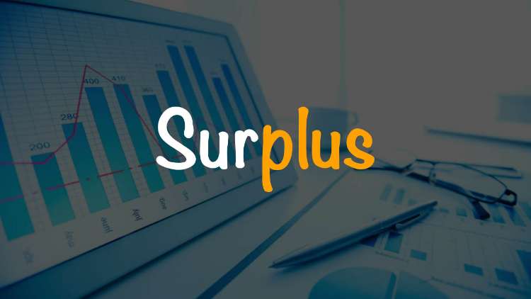 Surplus Adalah Pengertina, Jenis, Penyebab dan Dampak Surplus